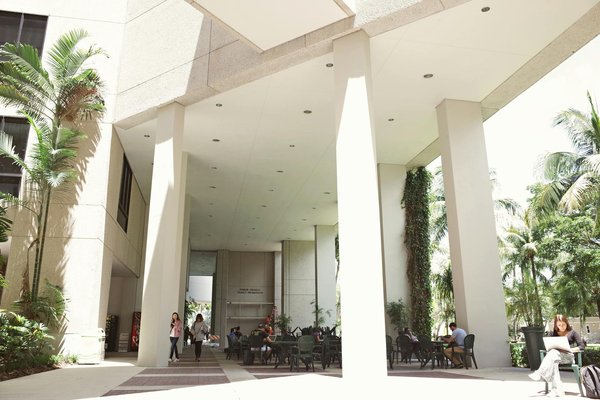 Pédagogie alternative : quels livres pour transformer l'éducation ?